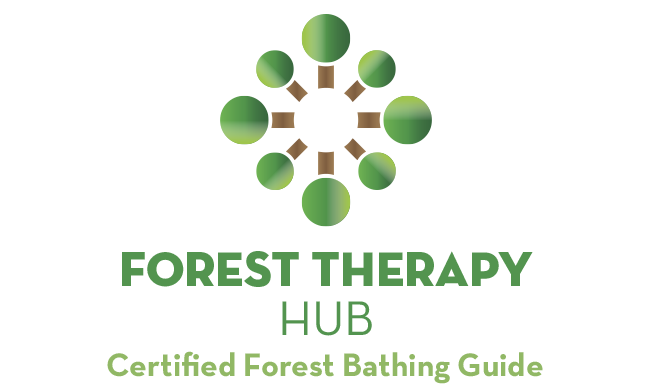 Forest Bathing Therapy Hub